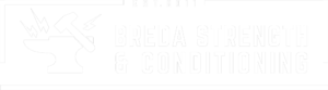bredasc-logo